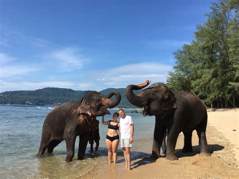 Kamala Elephant Riding & Bathing Phuket BS3 - Qbic Travel