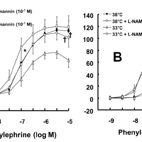 A Effects Of Mild Hypothermia C And Wortmannin Alone And