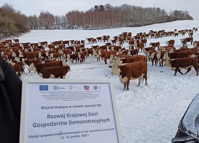 Krajowa Sie Gospodarstw Demonstracyjnych Relacja Ze Szkole