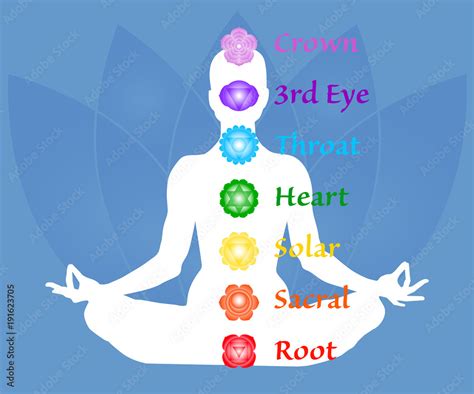 The Seven Chakra Names Map Famale Body In Lotus Yoga Asana On Blue