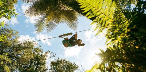 Rotorua Zipline Tour | Everything New Zealand