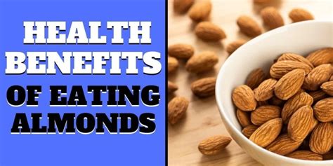 Almond Benefits For Men Top Health Benefits