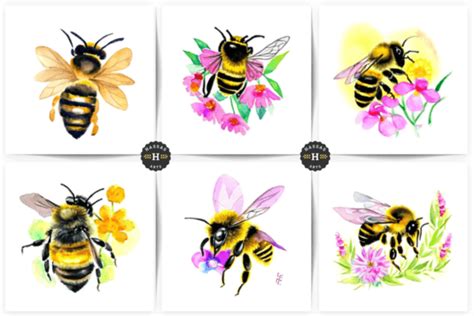 Bees With Flowers Images Collection Graphic By Hassas Arts Creative