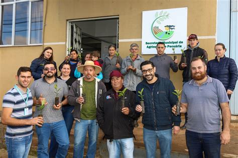 Agricultura Sustent Vel Entenda O Programa Eco Mate Turvo A Capital