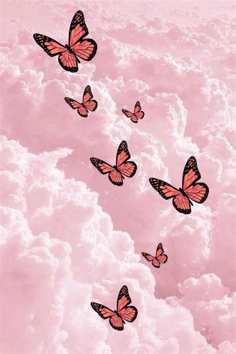 Wallpaper Pink Wallpaper Backgrounds Butterfly Wallpaper Backgrounds