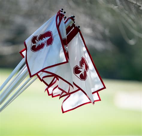 Womens Golf Set To Host Ncaa Regional