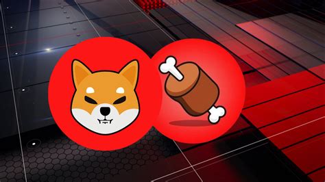 Por Que A Criptomoeda Da Mesma Rede Do Shiba Inu Shib Disparou Mais