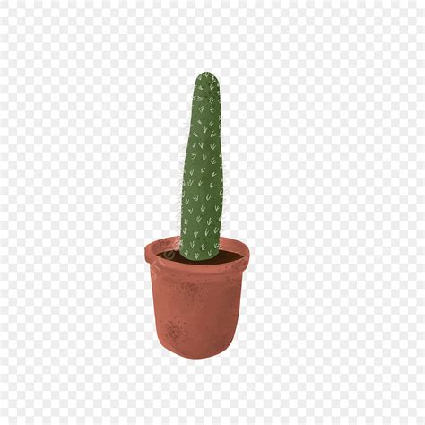 Beautiful Cactus PNG Transparent Beautiful Watercolor Cactus