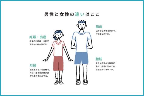 女性と男性の体が違うのは、女性ホルモンの働き！ 女性アスリートと男性アスリートの違い 日本体育大学 女性アスリート競技力向上プロジェクト