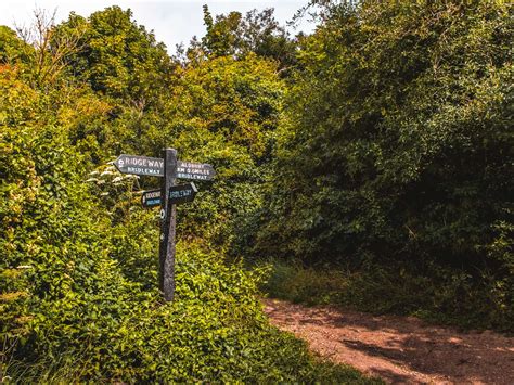 Ivinghoe Beacon Circular Walk From Tring She Walks In England