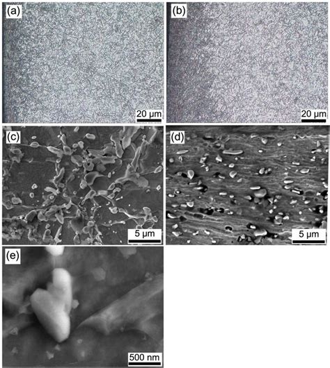 3d Micrograph Of Cross Section Specimens Of Group I After Treatment Of