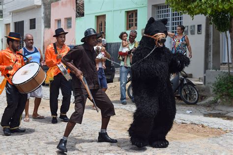 Exposi O Virtual A Magia Da Folia Dos Bois E Dos Ursos Traz A