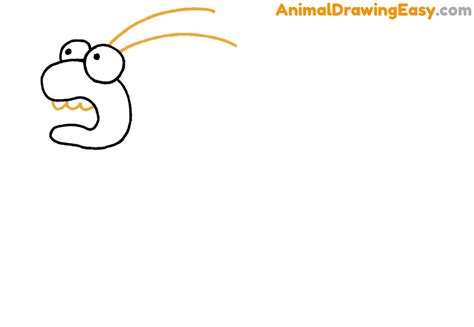 How to Draw a Bed Bug - Animaldrawingeasy.com