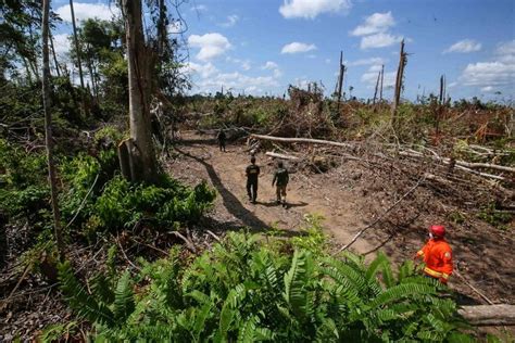 Amaz Nia Viva Opera O Embarga Mais De Mil Hectares De Terras E