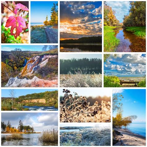 Collage De Las Fotos De La Naturaleza De La Estaci N Del Oto O Imagen