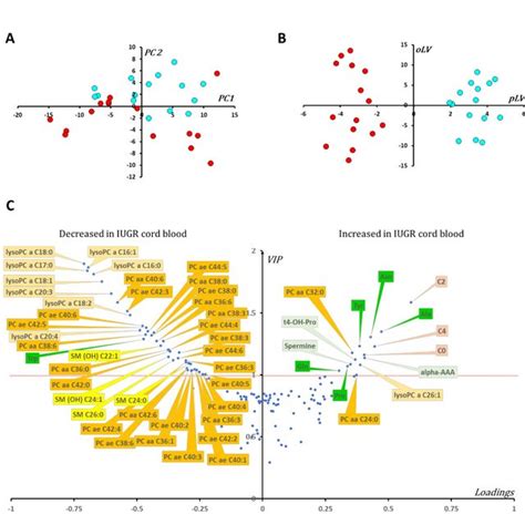 Multivariate Statistical Analysis Of The Metabolomic Data From Cord