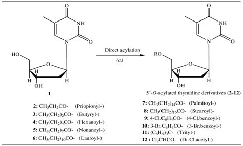 Scheme Synthesis Of Thymidine Derivatives Reagents And