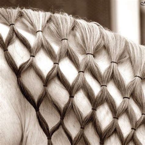 30 Amazing Horse Tail Braids Ideas to make Your Friends Jealous - Tail ...