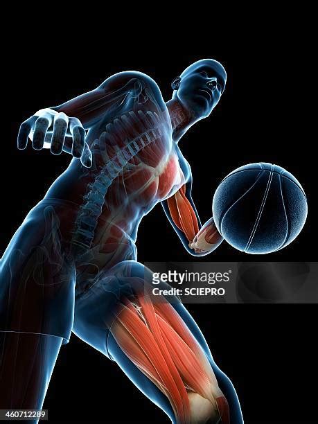 64 Basketball Player Black Background High Res Illustrations - Getty Images