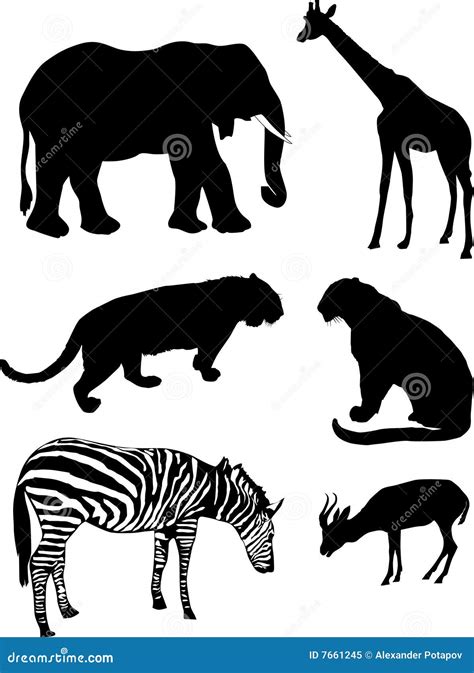 Silhuetas Animais Africanas Ilustração Stock Ilustração de esboço