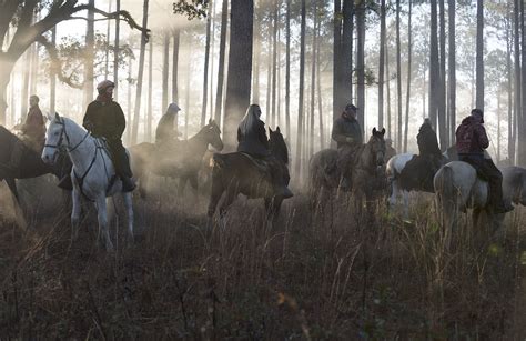 The Horse’s Role in Field Trials | Covey Rise Magazine