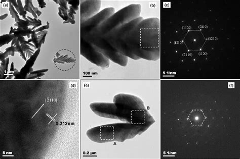 A Sem Image Of The Zn Doped Cds Dendritic Nanostructures B The