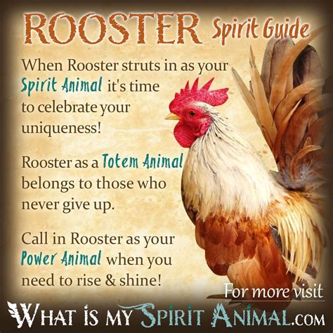 Rooster Symbolism & Meaning | Spirit, Totem & Power Animal