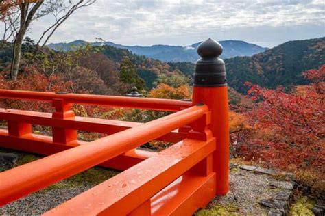 25 Best Kyoto Temples And Shrines To Visit