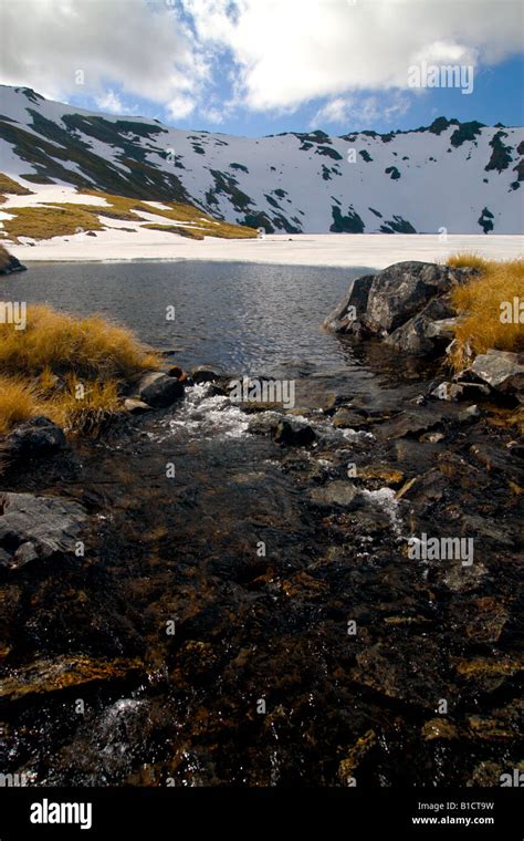 Nelson Lakes National Park South Island New Zealand Stock Photo Alamy