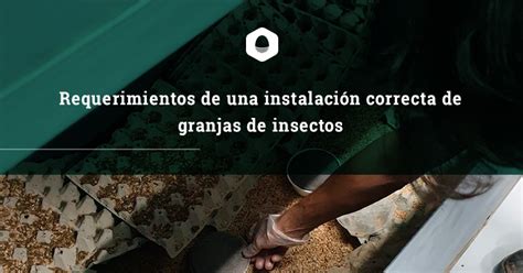 Requisitos para Montar una Granja de Insectos España dontutoriales