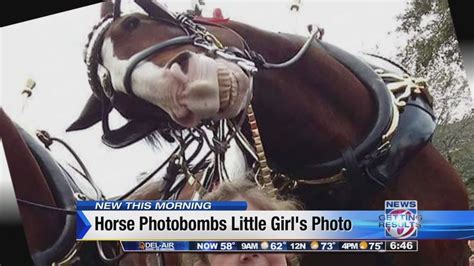 'Smiling' horse photobombs girl