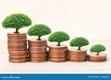 Save Money Tree Growing On Stack Coins Stock Image Image Of Currency