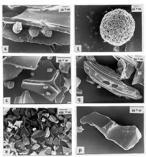 Scanning Electron Microphotographs Of Glass Shards A Glass Shards Of Download Scientific