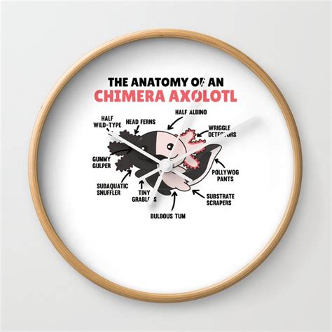 Axolotl Explanation Anatomy Of A Chimera Axolotl Wall Clock by Dalukey | Society6