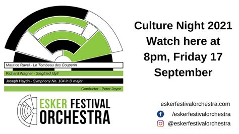 Esker Festival Orchestra S 2021 Online Performance Culture Night 2021