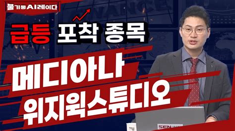 불기둥ai레이다 이정수 전문가 급등주 포착 메디아나 리노공업 위지윅스튜디오 등 하루만에 누적수익률 74 달성