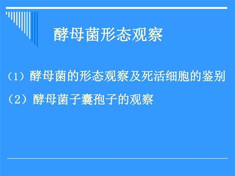 酵母菌的形态观察word文档在线阅读与下载无忧文档