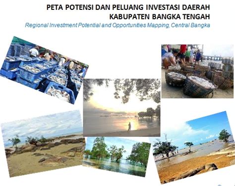 Potensi Dan Peluang Investasi