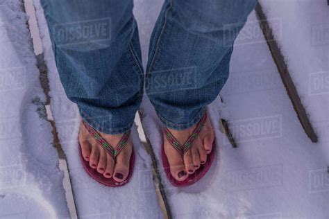 Woman S Feet Standing In The Snow Wearing Flip Flops Churchill