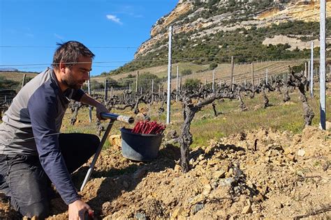 Vinustrale Agence Class Vins Conseils Gladys Et Maturin