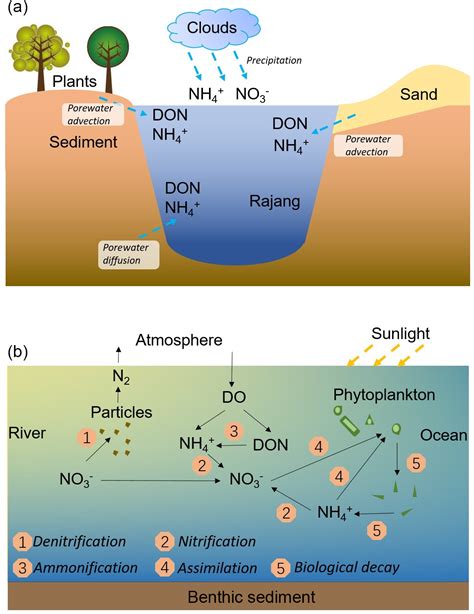 Bg Dissolved Inorganic Nitrogen In A Tropical Estuary In Malaysia