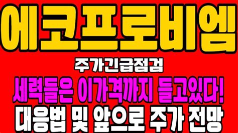 에코프로비엠 전망 세력들은 이가격까지 들고있다 Youtube