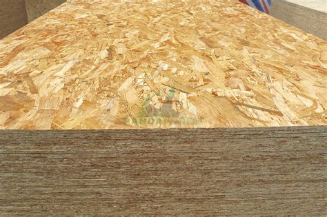 Pine OSB Sheathing Durable Building Supplies China Forest Your