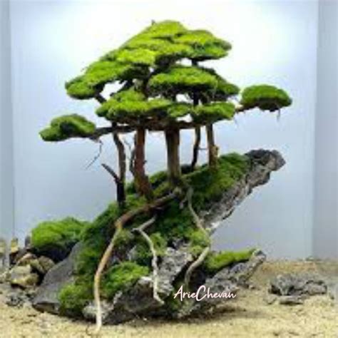 Jual Hiasan Pohon Bonsai Aquarium Tema Hutan Di Atas Tebing Dekorasi