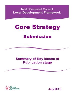 Fillable Online N Somerset Gov Summary Of Key Issues Table Doc Fax