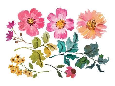 Watercolor Flower Elements Clipart Handraw 20580221 Vector Art At Vecteezy