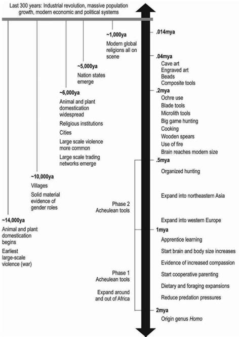 Fuentes Distinctively Human Meaning‐making And World Shaping As Core