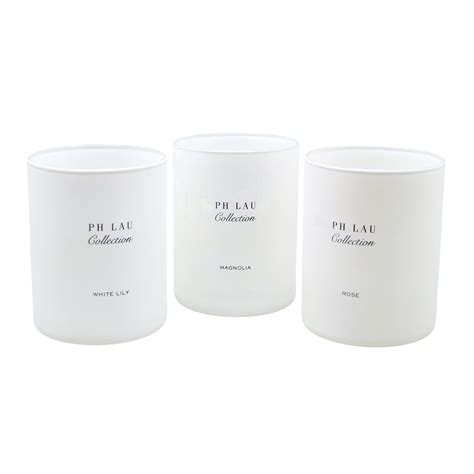 Matte Painted Glass Candle Jars White Custom Glass Tumblers 7oz High