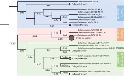 Frontiers Genomic Characteristics Distinguish Geographically