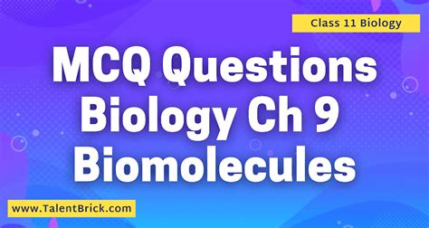 Mcq Questions Biomolecules Biology Class 11 Chapter 9 Talentbrick